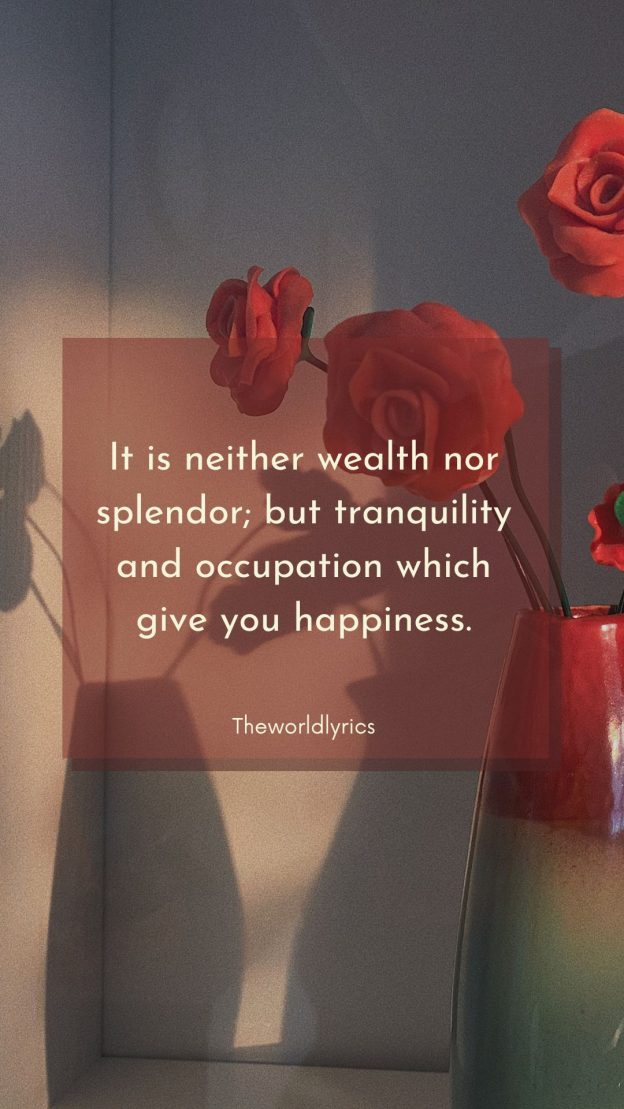 It is neither wealth nor splendor but tranquility and occupation which give you happiness.