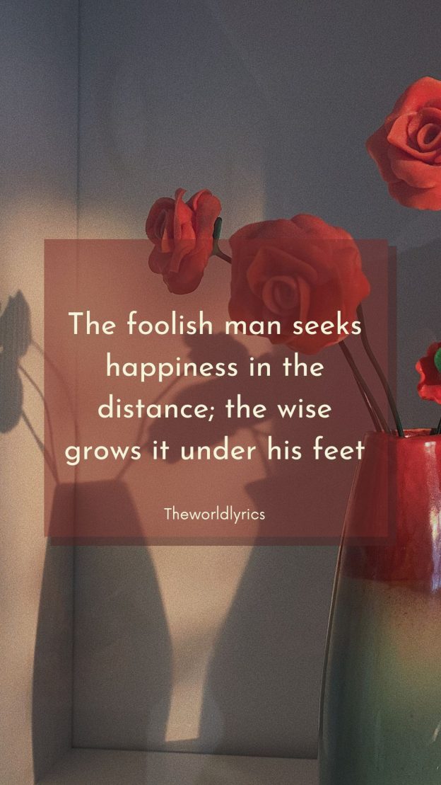 The foolish man seeks happiness in the distance the wise grows it under his feet