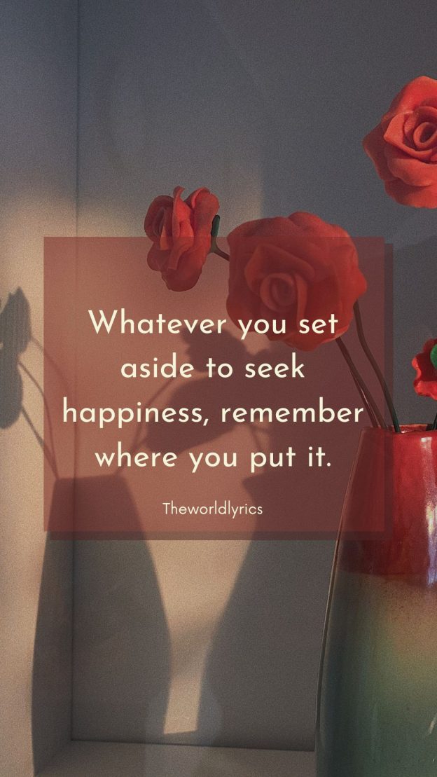 Whatever you set aside to seek happiness remember where you put it.