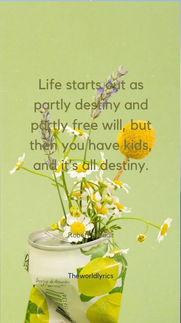 Life starts out as partly destiny and partly free will but then you have kids and its all destiny.