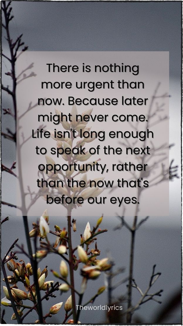 There is nothing more urgent than now. Because later might never come. Life isnt long enough to speak of the next opportunity rather than the now thats before our eyes.