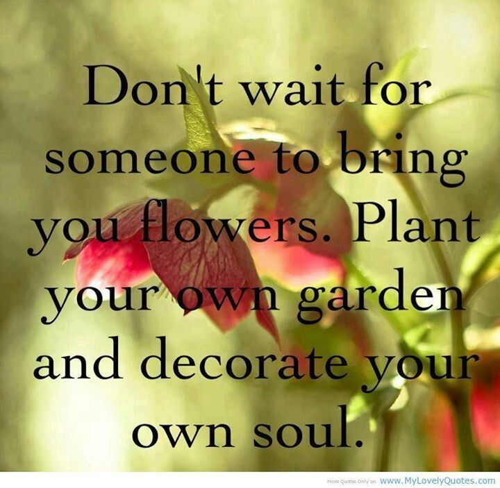 Don T Wait For Someone To Bring You Flowers Plant Your Own Garden
