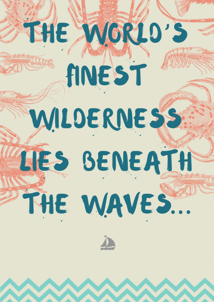 The world’s finest wilderness lies beneath the waves...