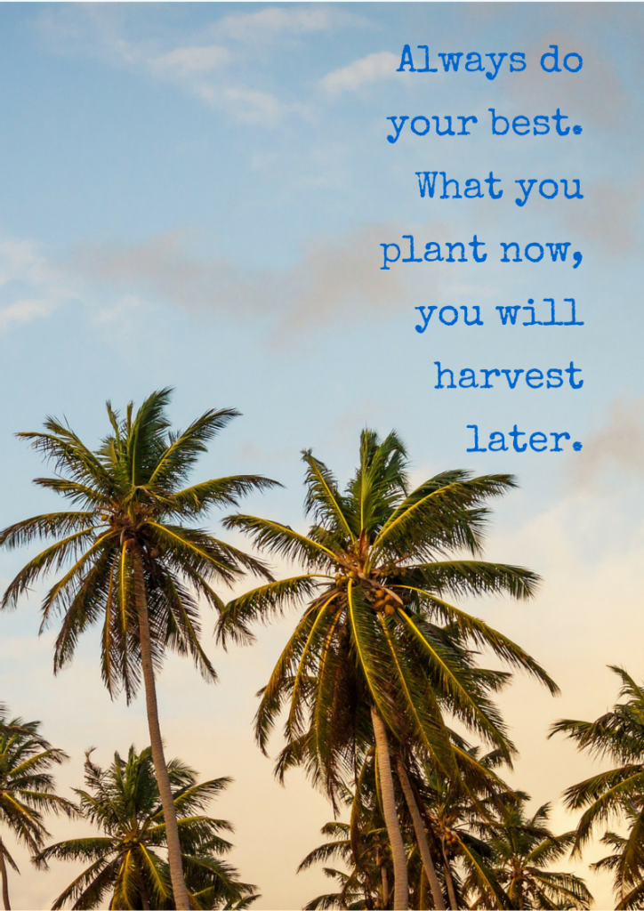 Always do your best. What you plant now, you will harvest later.