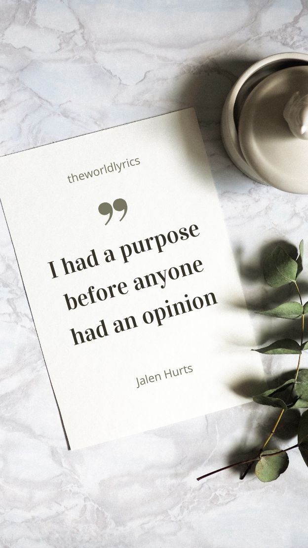 You had a purpose before anyone had an opinion 2