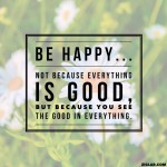 Happiness quotes