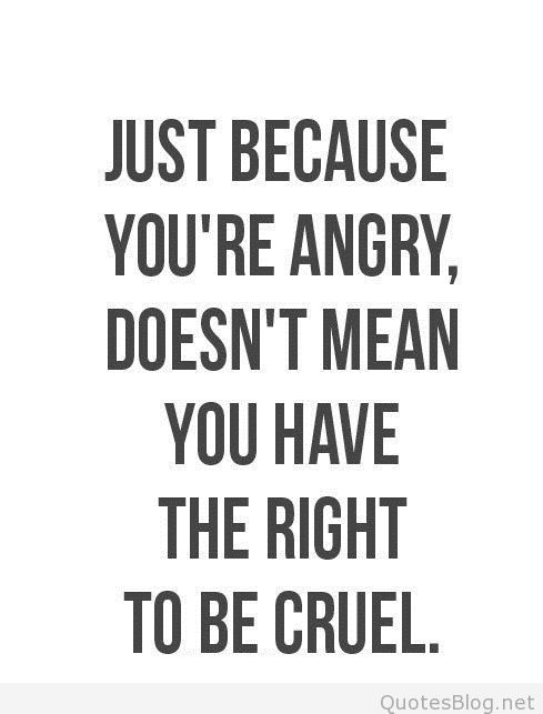 Just because youre angry doesnt mean you have the right to be cruel