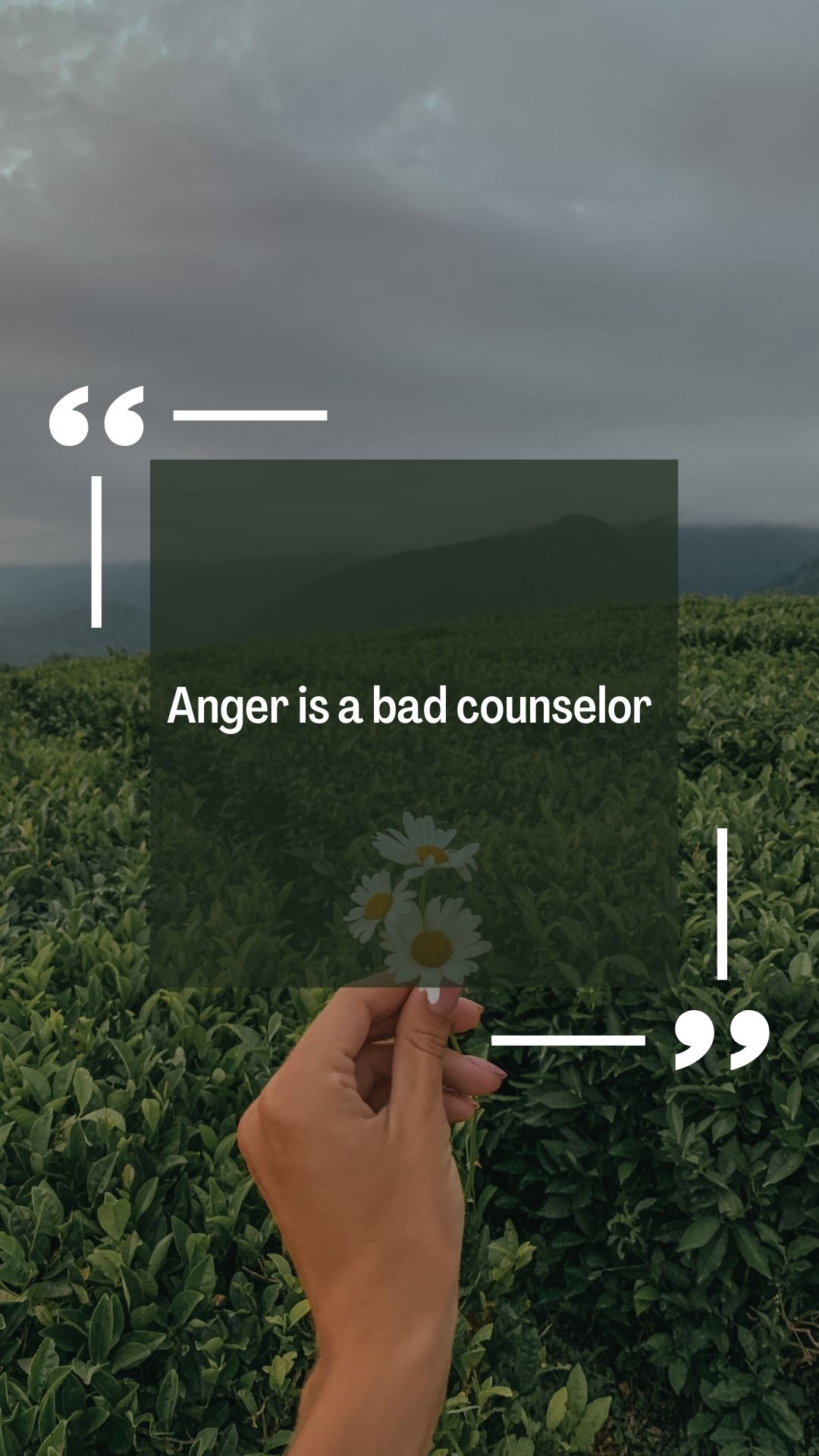 Anger is a bad counselor