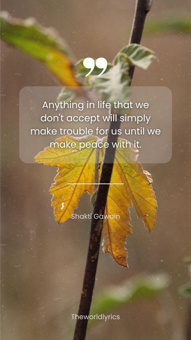 Anything in life that we dont accept will simply make trouble for us until we make peace with it.