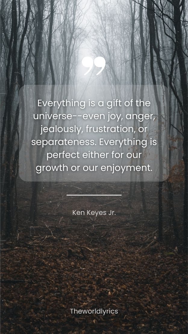 Everything is a gift of the universeeven joy anger jealously frustration or separateness. Everything is perfect either for our growth or our enjoyment.