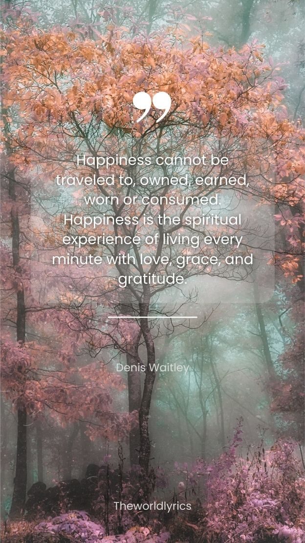 Happiness cannot be traveled to owned earned worn or consumed. Happiness is the spiritual experience of living every minute with love grace and gratitude.