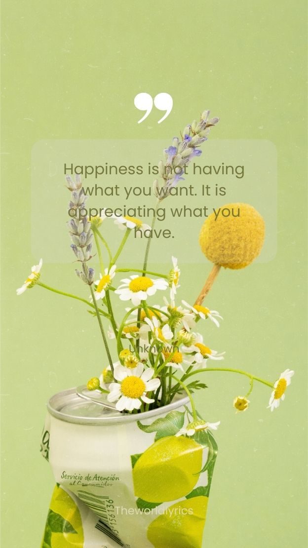 Happiness is not having what you want. It is appreciating what you have.