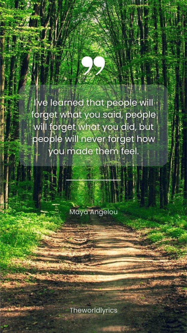 Ive learned that people will forget what you said people will forget what you did but people will never forget how you made them feel.